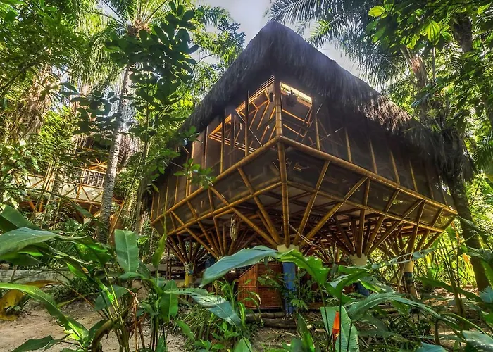 Hotel: Universo Pol Bamboo Hostel
