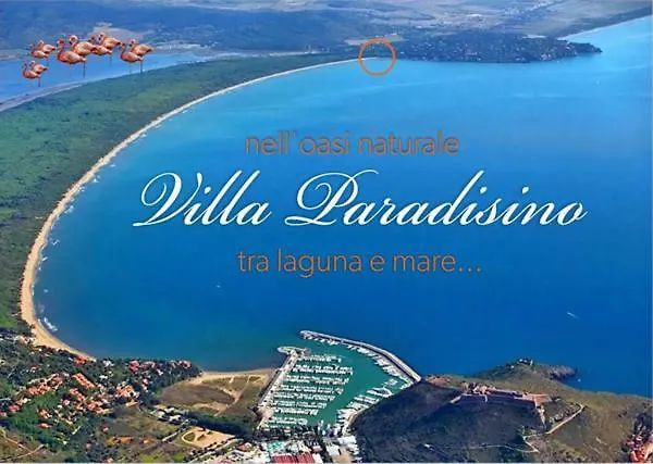 Paradisino