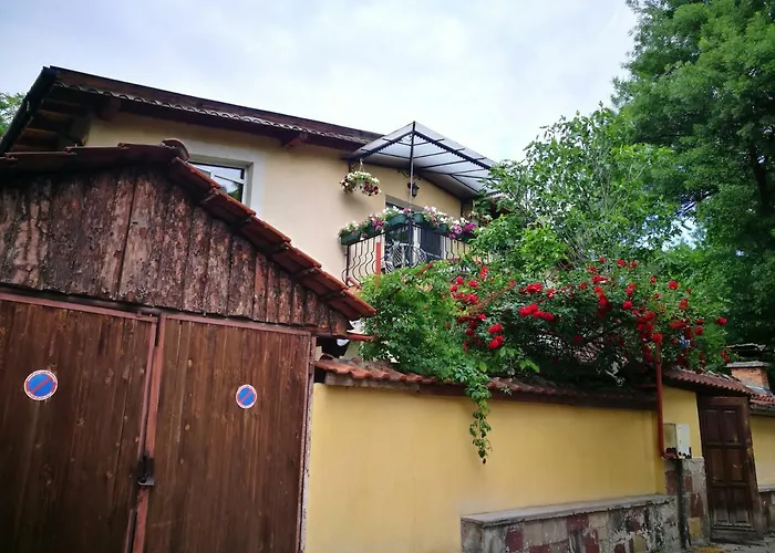 Hotel de lujo: Hotel Paradise