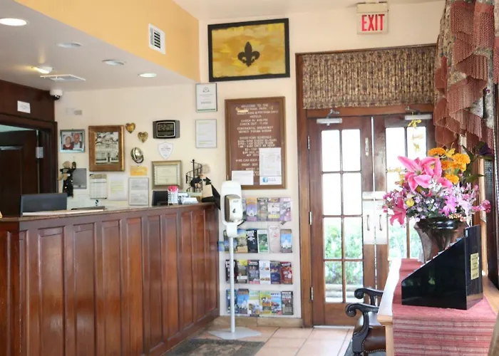 Pet Friendly hotel: The Prytania Park Hotel