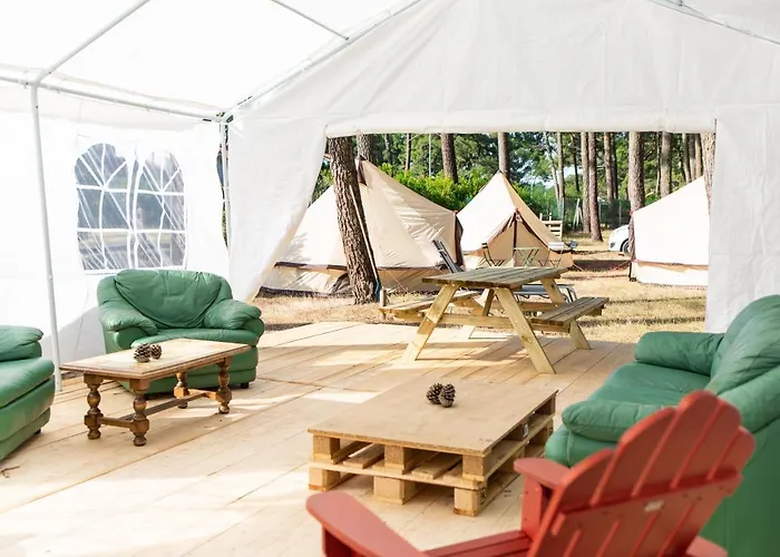 Animaux admis Spot Surfcamp