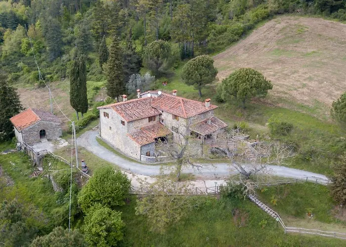 Fattoria Di Cintoia