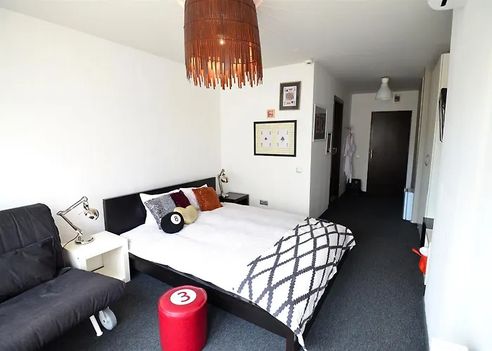 Pet Friendly hotel: Hotel Biscuit