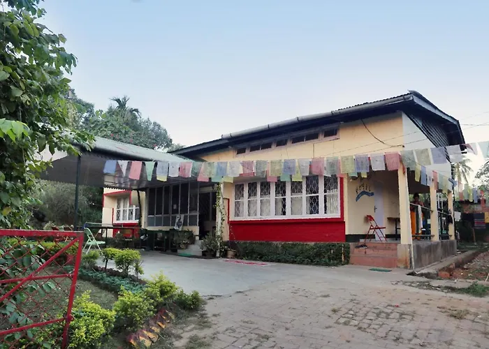 The Hostels Gibbon Backpackers
