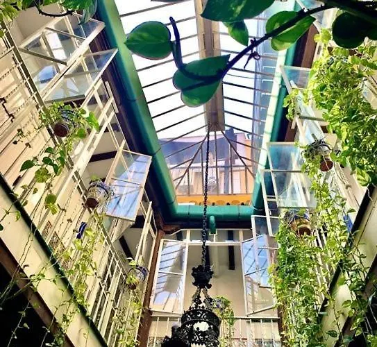 Maison d'hôtes: Hostal Lis