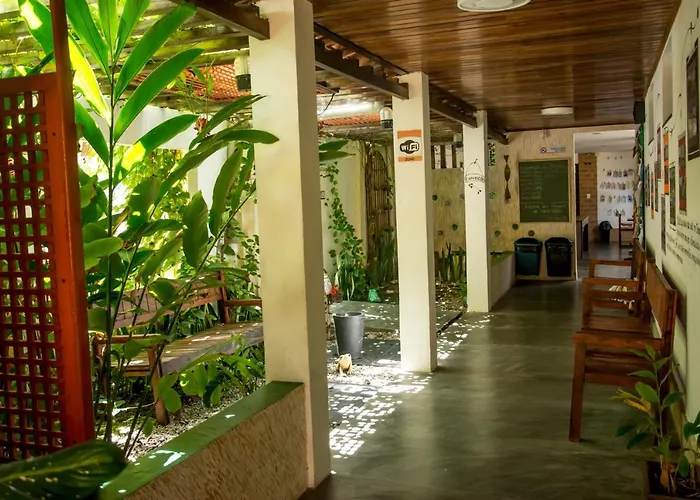 Casa de hóspedes: Casa do Sertão - Vila Aju