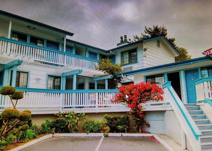 Motel: Arbor Inn Monterey