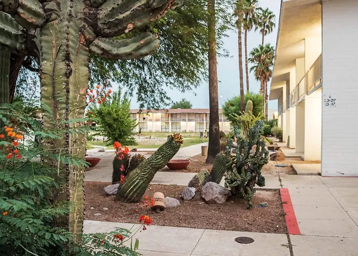 Motel: Motel 6-Tucson, Az