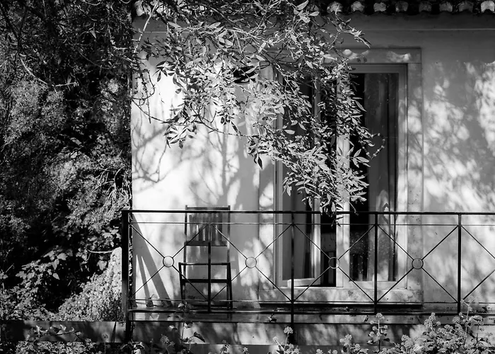 Sintra Center Guest House Escape To Nature